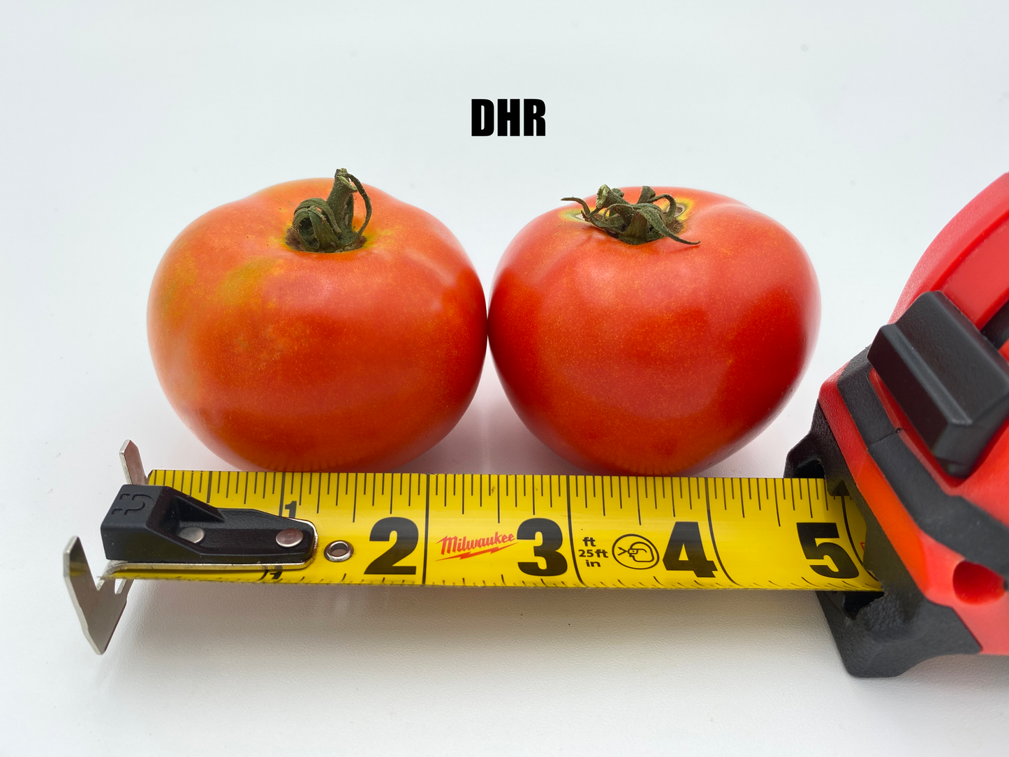 Tomato -Variety ($ 2.99/lbs)