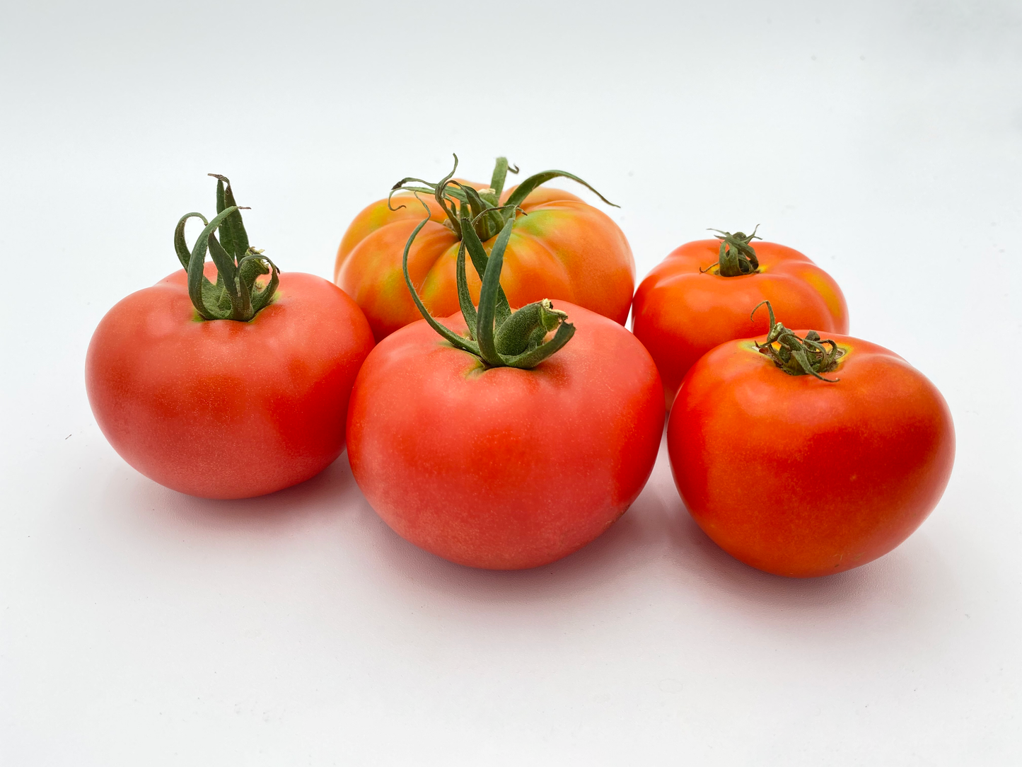 Tomato -Variety ($ 2.99/lbs)